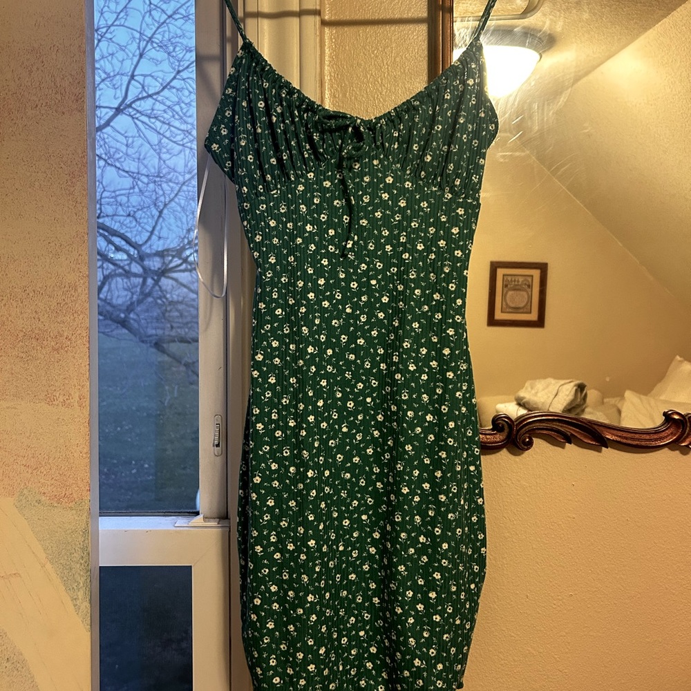 Windsor mini spring dress/ never worn, new with tags